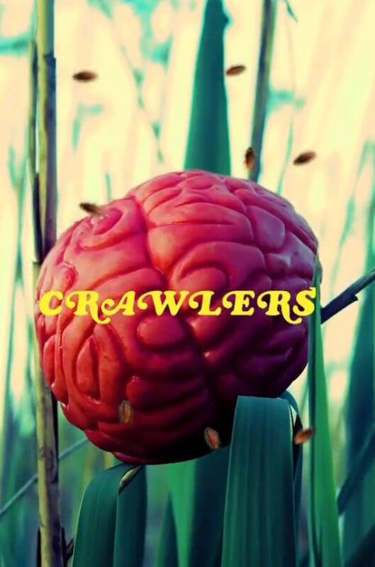 Crawlers