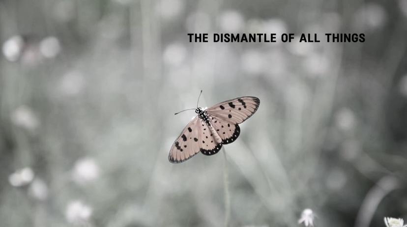 The Dismantle of All Things